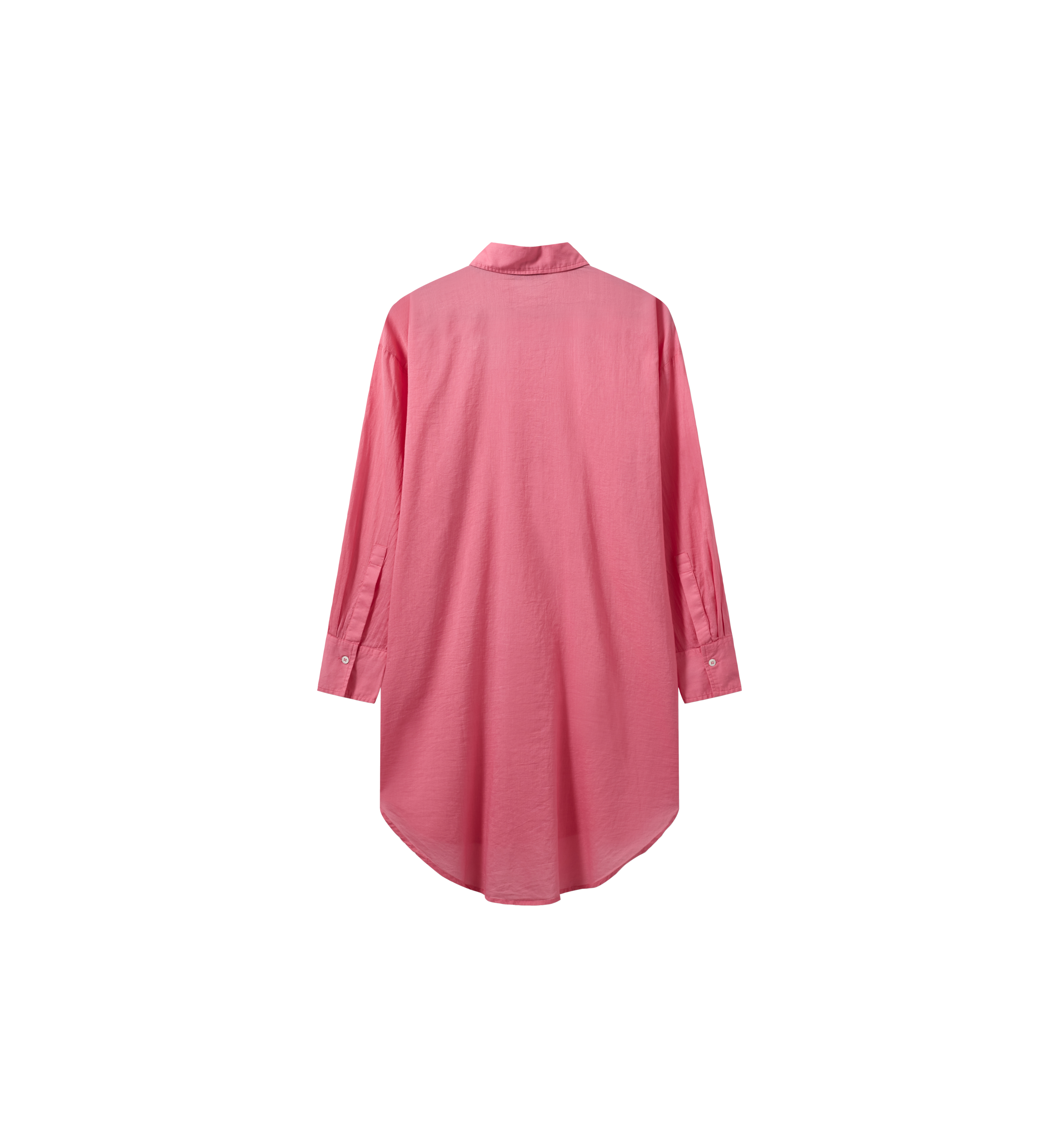 Packshot / Camellia Rose / Back